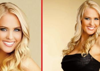 darcy donavan net worth