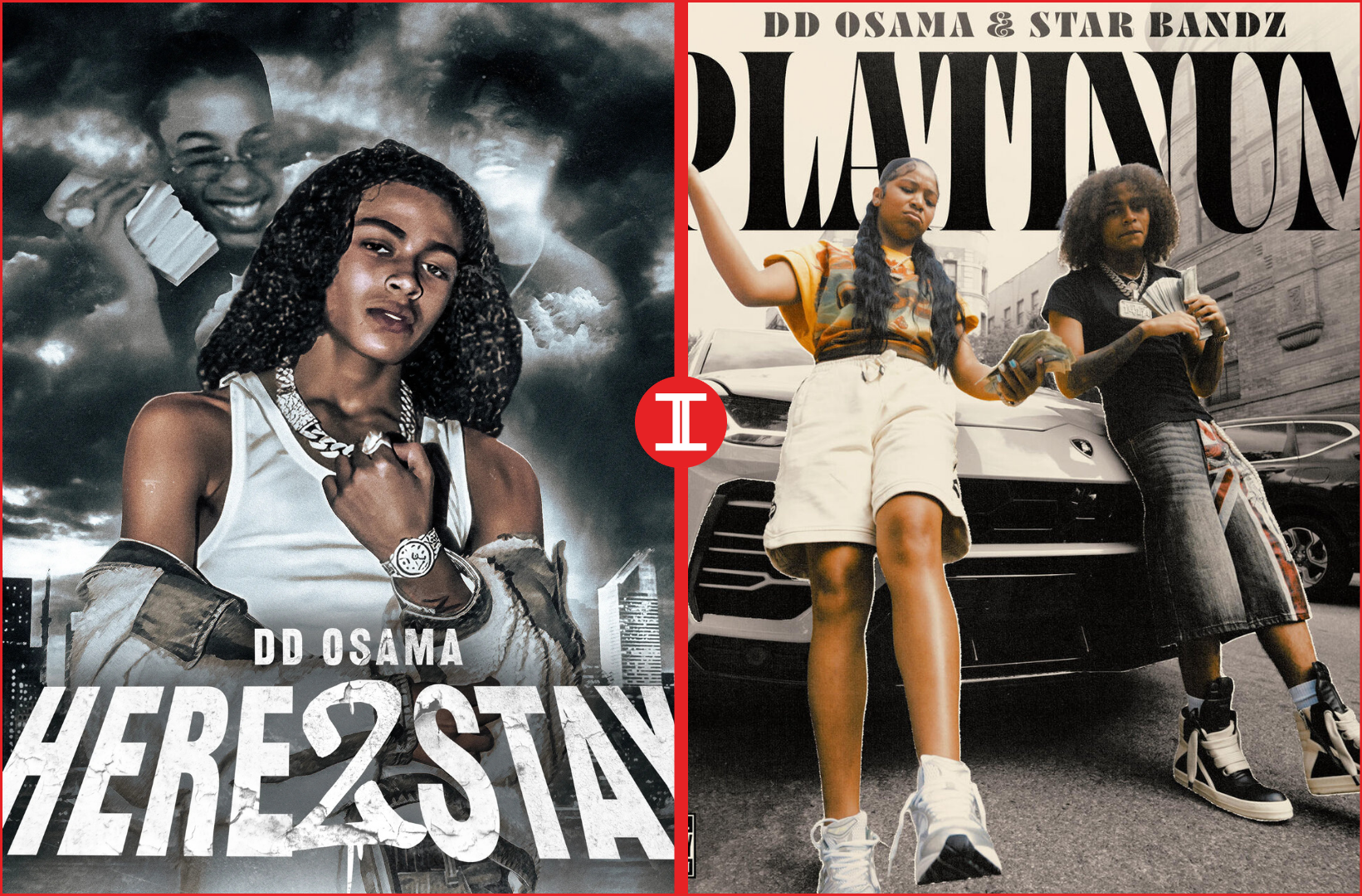 Albums and Projects of dd osama