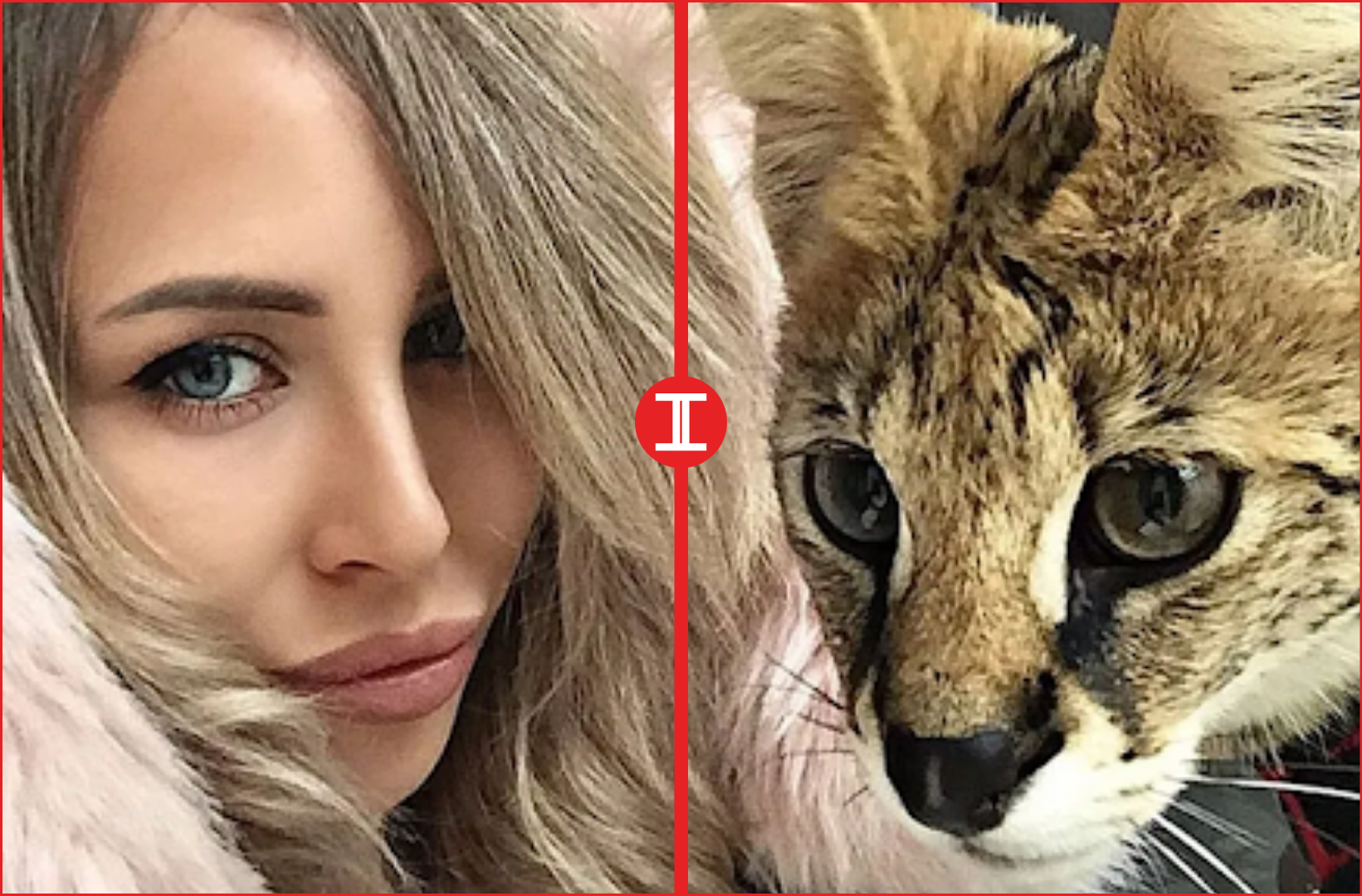 big cat wife A Rare Public Appearance