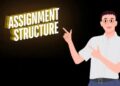 How to Structure a University Assignment
