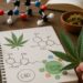 Terpenes and the Entourage Effect